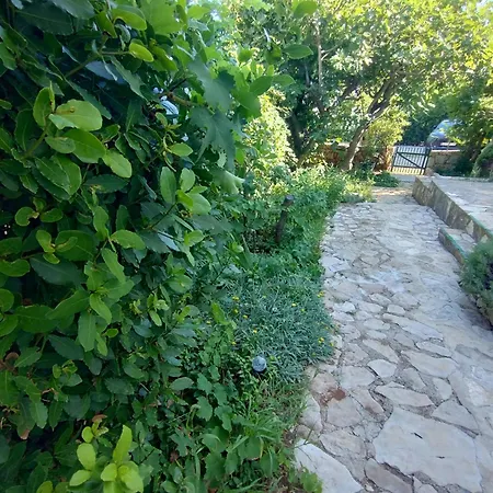 Apartamento House With A Garden 50m From The Sea